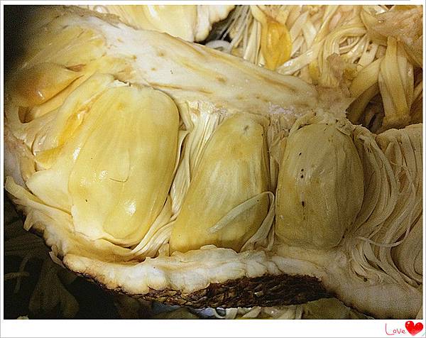 有機波羅蜜果肉4.jpg 有機波羅蜜果肉4.jpg