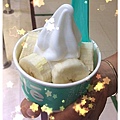 純素椰子冰淇淋.jpg