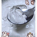 純素椰奶冰淇淋4.jpg