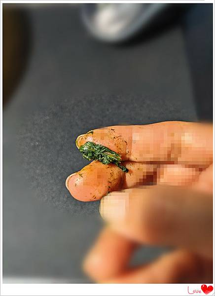 煮仙草6.jpg 煮仙草6.jpg