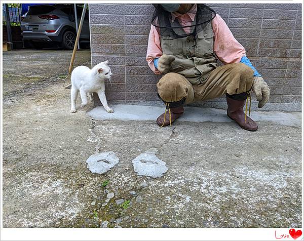 小貓仁12.jpg 小貓仁12.jpg