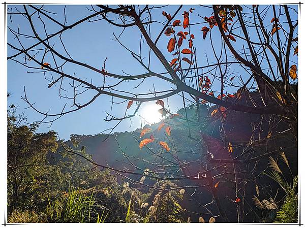 日出美景.jpg 日出美景.jpg