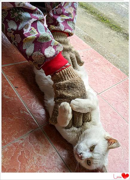 緊抱我.jpg 緊抱我.jpg