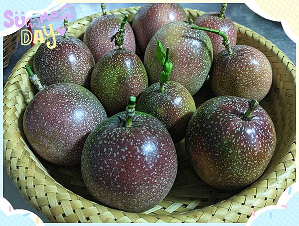 有機百香果3.jpg 有機百香果3.jpg