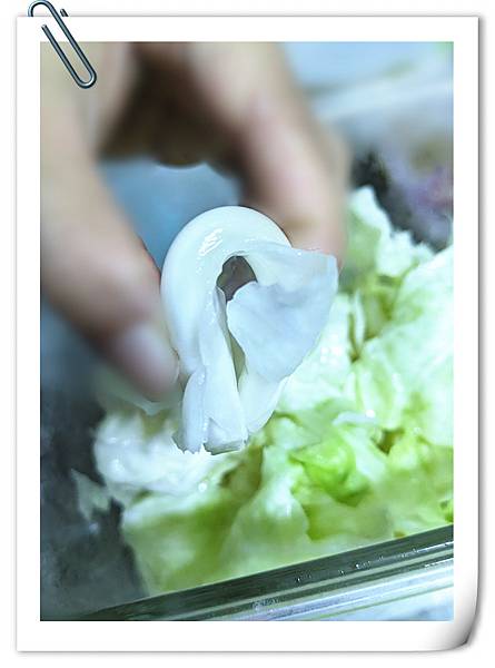 有機高麗菜5.jpg 有機高麗菜5.jpg