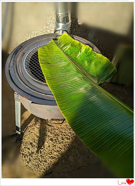 香蕉葉.jpg