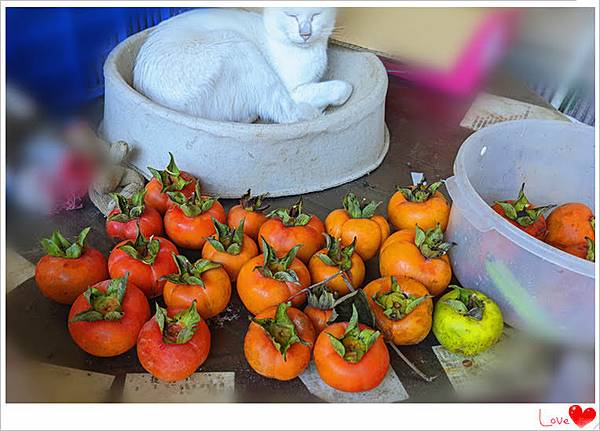 有機柿子3.jpg 有機柿子3.jpg