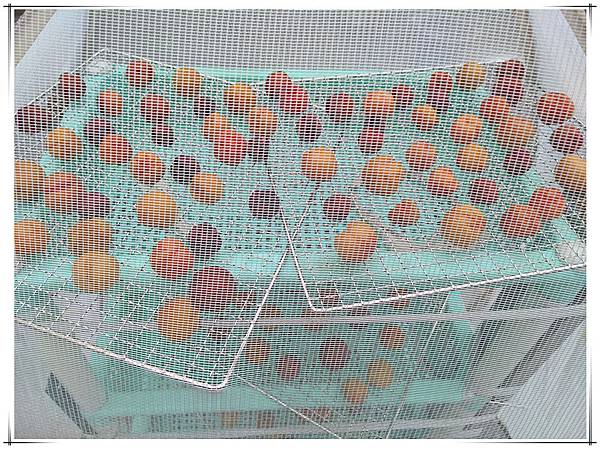 烘乾3.jpg 烘乾3.jpg