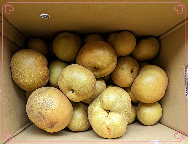 梨子.jpg
