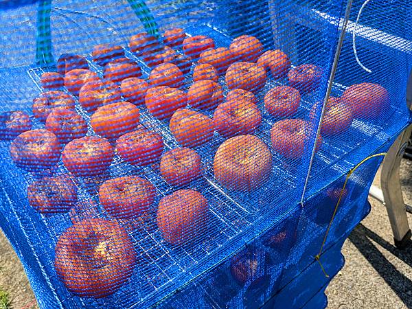 曬柿餅.jpg 曬柿餅.jpg