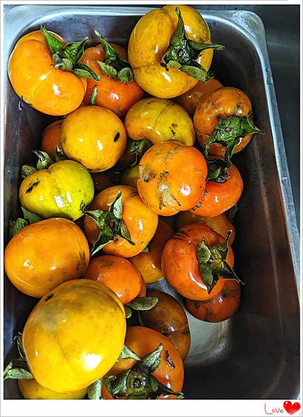 有機柿子4.jpg 有機柿子4.jpg