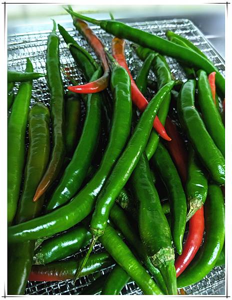 晾乾辣椒.jpg