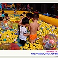 P8134040_調整大小.JPG