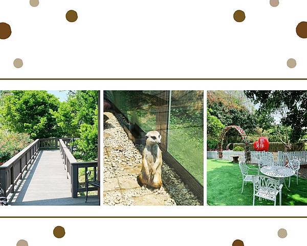 [桃園景點]萬坪歐式莊園，還有可愛小動物--蘇家莊園