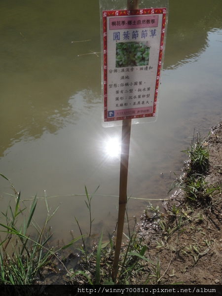 cm20120507ce8fd607a07a33e5a687575eb5bb80