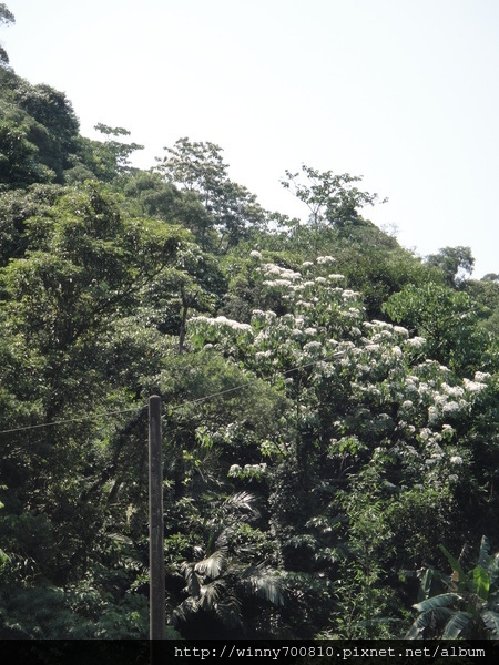 cm20120507725784e888b8ab24f9e24fd311d89f