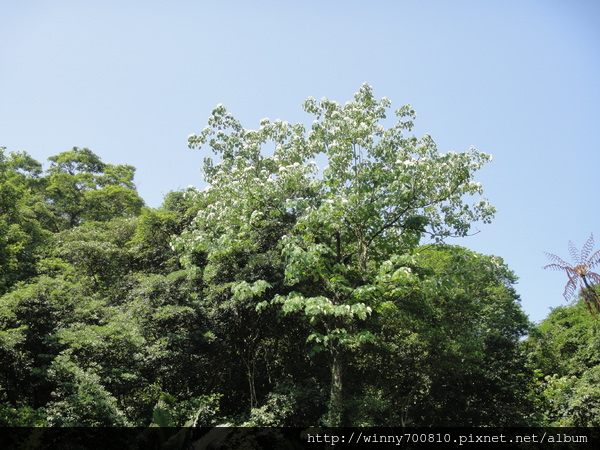cm20120507190acf6f3665ff505a338ed60d052d