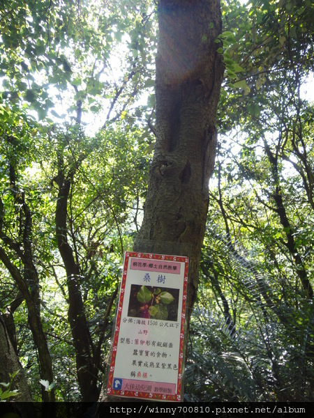 cm20120507a1c7a51a3a56cb3712509fbf18e6bd