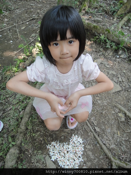 cm201205075cc23185a628d743bba8040083b0be