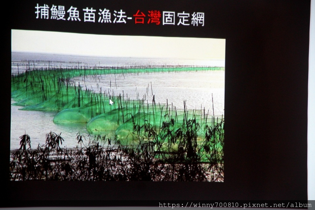 宜蘭壯圍 | 壯圍沙丘生態園區 特色壯圍 食旅行 宜蘭在地旅