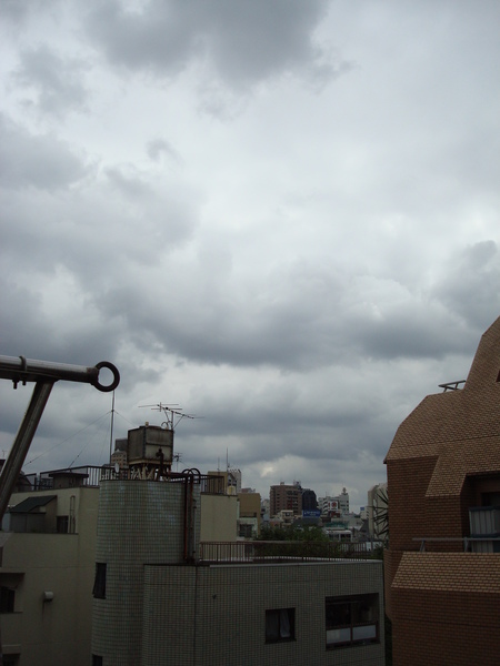 風雨欲來