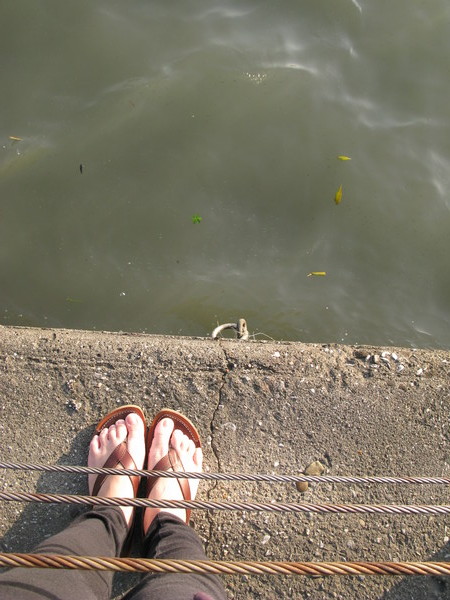 IMG_1622.JPG IMG_1622.JPG