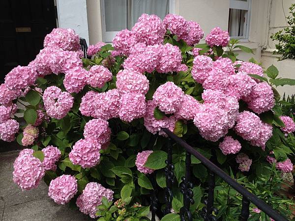 2016-07-03 12.21.47.jpg 2016-07-03 12.21.47.jpg