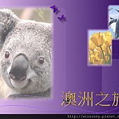 Koala01