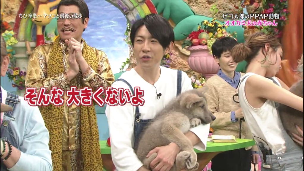 篤學日常 動物園 比起貓派狗派果然還是相葉派 冬與夏的夢境循環論 痞客邦 篤學日常 動物園 比起貓派狗派果然還是相葉派 冬與夏的夢境循環論 痞客邦
