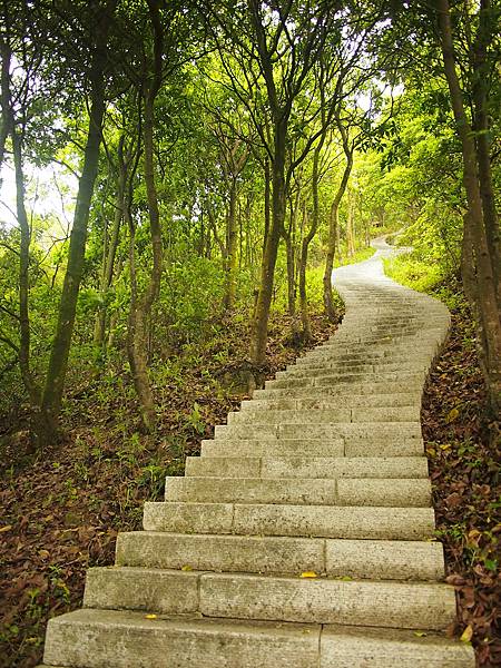 梧桐山步道