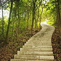 梧桐山步道