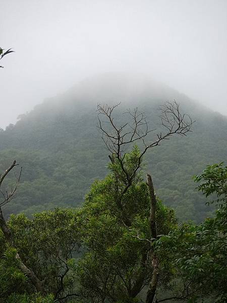 陽明山