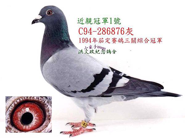 286876.jpg 286876.jpg