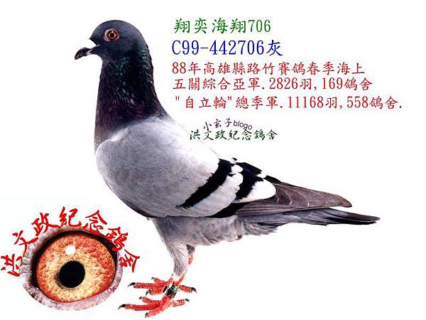 442706 442706