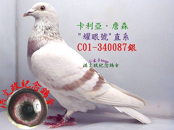 340087.jpg 340087.jpg