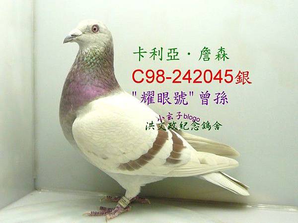 242045.jpg 242045.jpg
