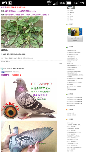 Screenshot_2015-06-16-09-29-10.png Screenshot_2015-06-16-09-29-10.png