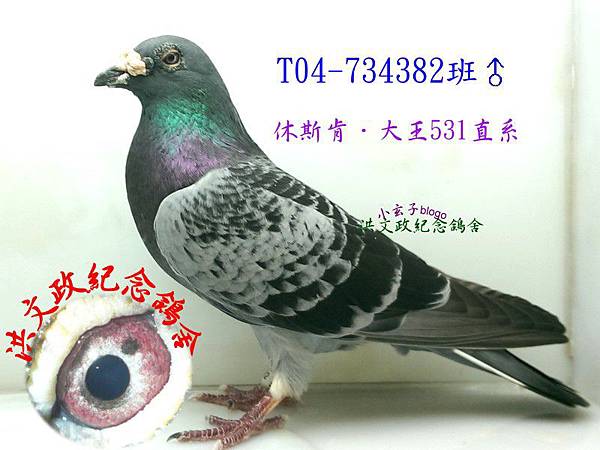 734382 734382
