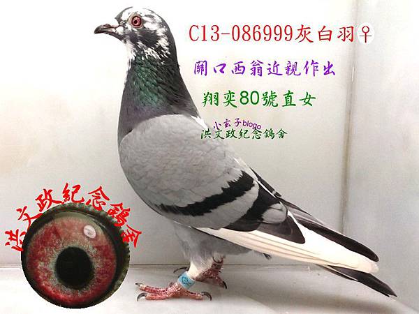 086999 086999