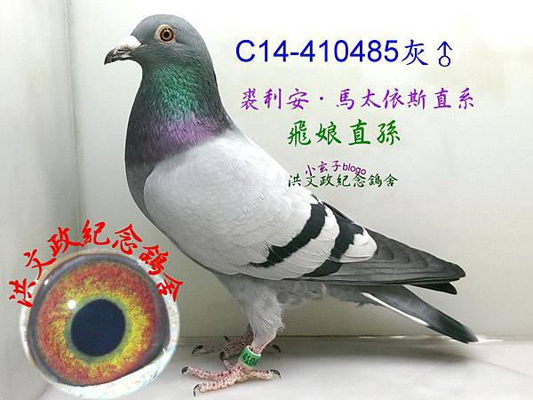 410485 410485