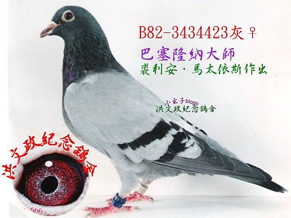 3434423 3434423