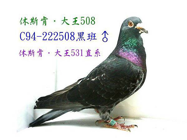 222508.jpg 222508.jpg