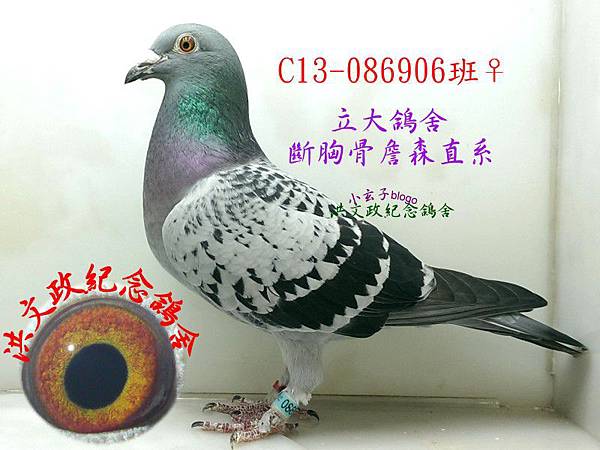 086906 086906