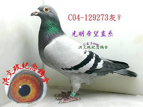129273 129273
