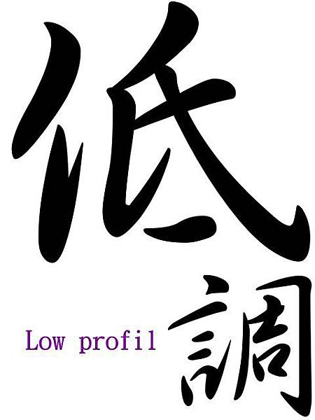 low profil low profil