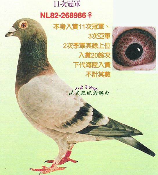268986 268986