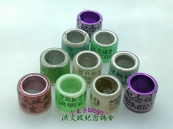 私環 私環