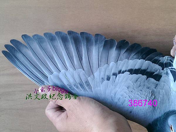 386740b 386740b
