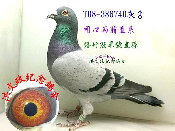 386740 386740