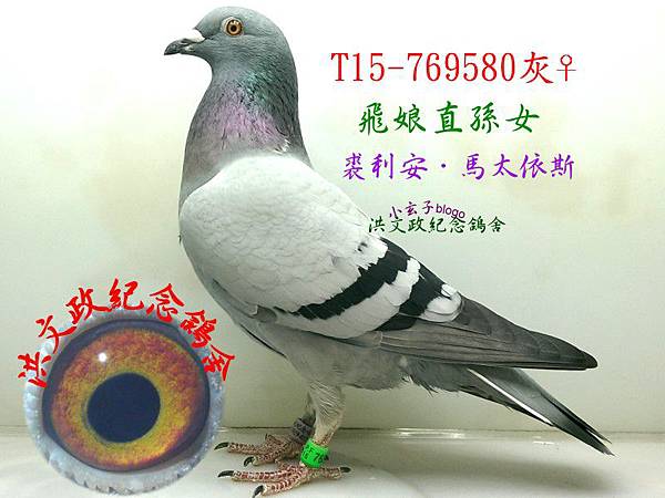 769580.jpg 769580.jpg